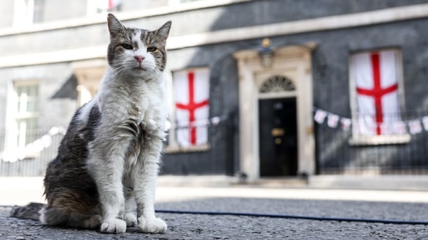  Larry the cat outside Number 10 Downing Street