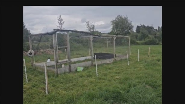 Fenced area used to house the curlew
