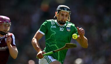 Limerick ratings: Hegarty shines as Treaty have too much