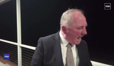'Sit down!' Australian politician berates dog on live TV