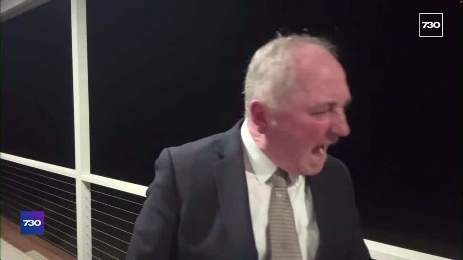 'Sit down!' Australian politician berates dog on live TV