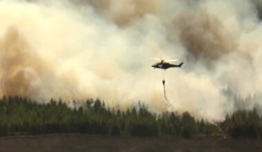 'Too early' to assess forest fire damage in Tipperary