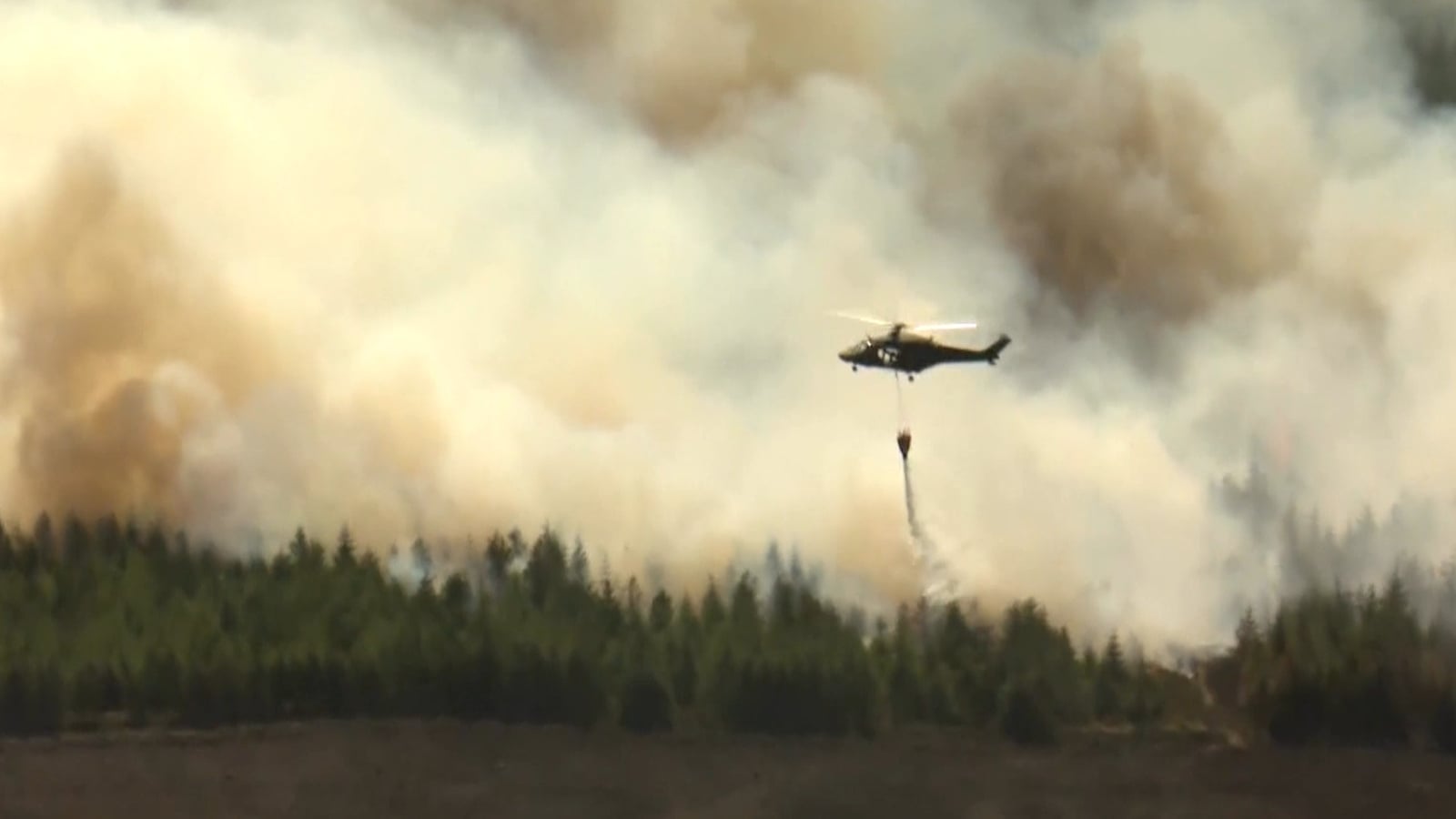 'Too early' to assess forest fire damage in Tipperary