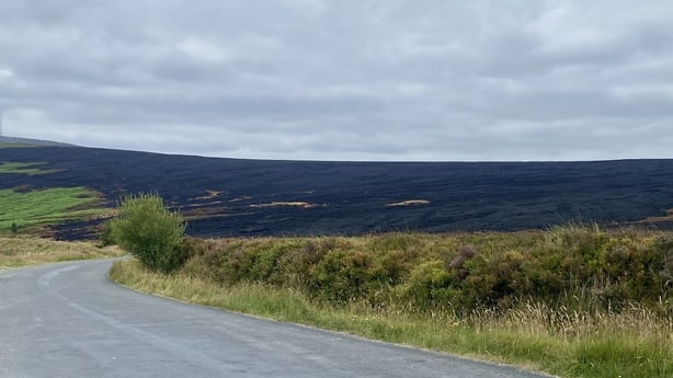 Forest fire damage in Wicklow
