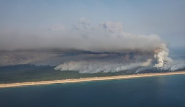 Level of wildfires 'never been seen before'