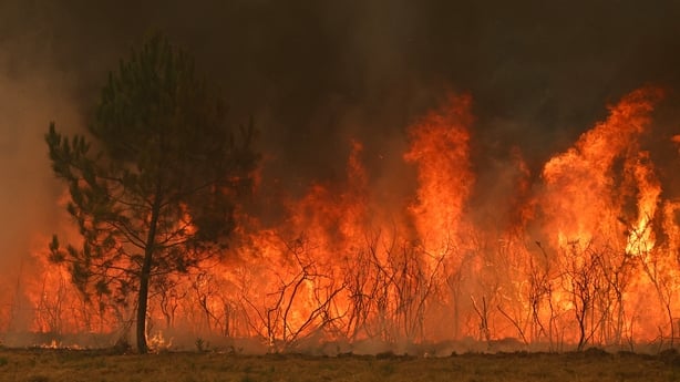 This photograph shows a wooden area engulfed in flames in Marcheprime, west of Bordeaux