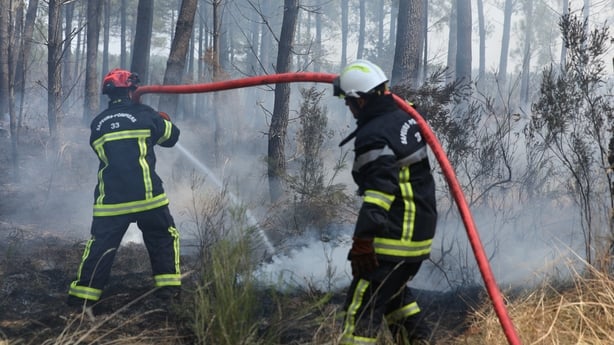 French firefighters spray water to extinguish residual flames and secure the area in a smoke-filled pine forest near Marcheprime during the ongoing Gironde wildfires in southwestern France