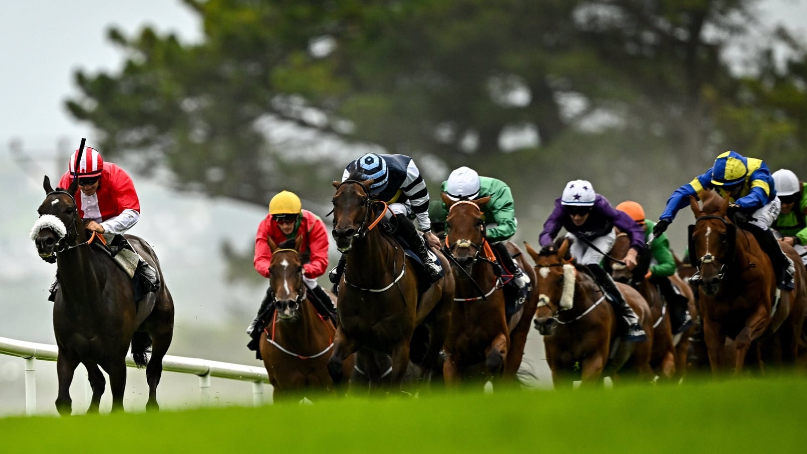 Colgan and Martin team up to take Galway Mile with Orandi