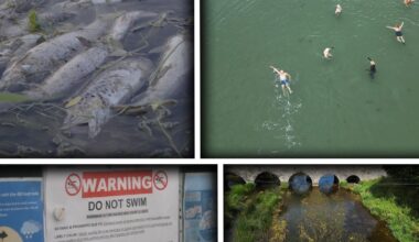 'Our river is dying' – Locals warn of strain on Ireland's waters