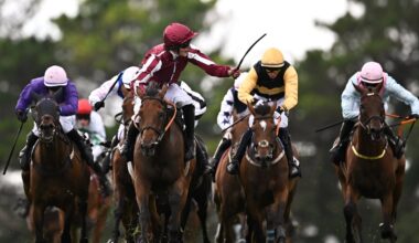 King seals Plate-Hurdle double aboard Putapoundinthejar