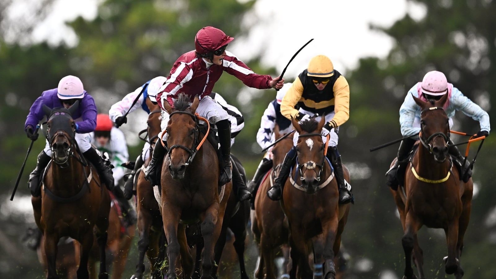 King seals Plate-Hurdle double aboard Putapoundinthejar