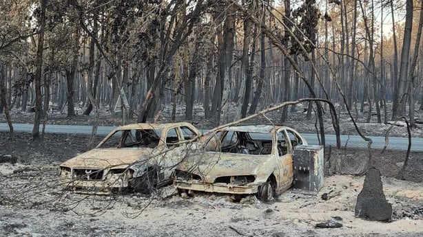 Scorched cars are seen in Le Porge, France following wildfires 