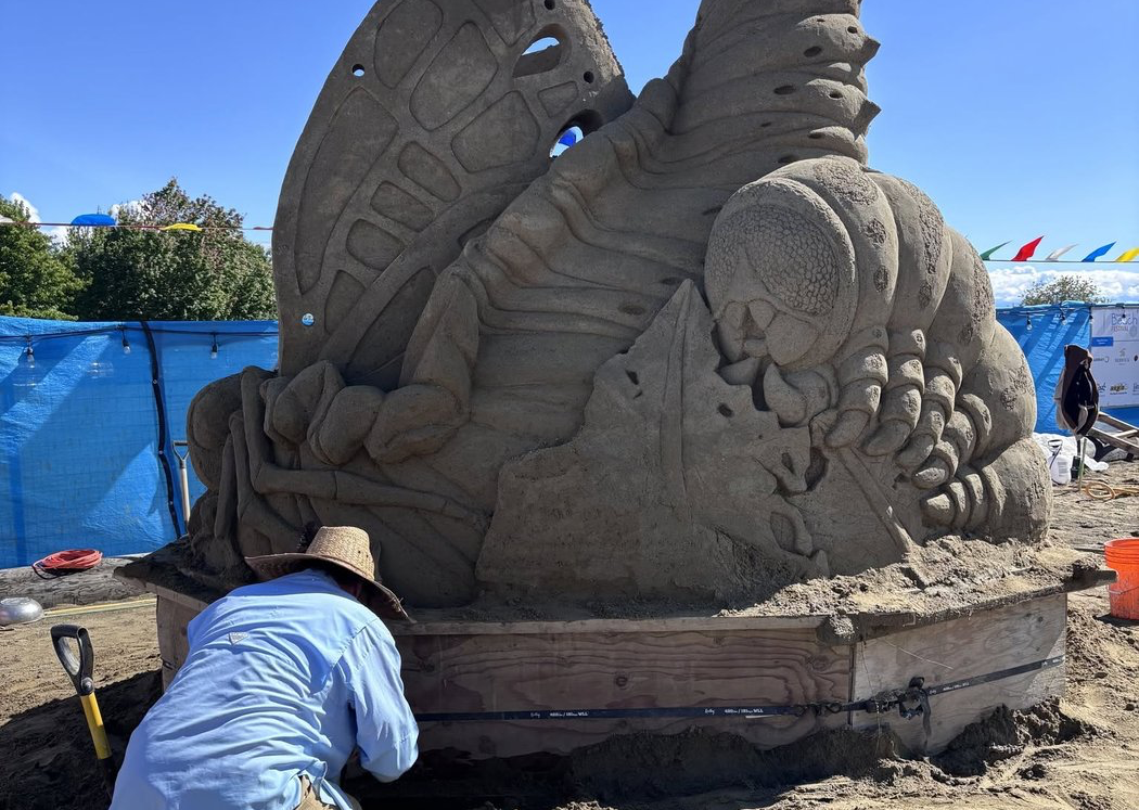Sand sculptures damaged by vandals at Parksville beach festival