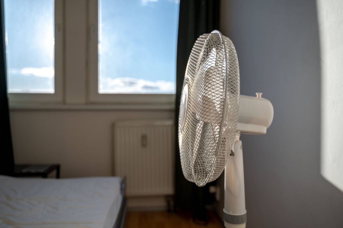 Electric fan (stock)