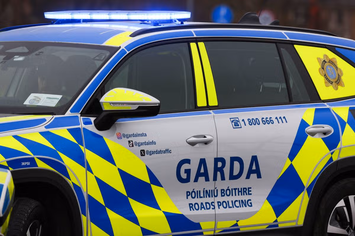 Garda (stock)