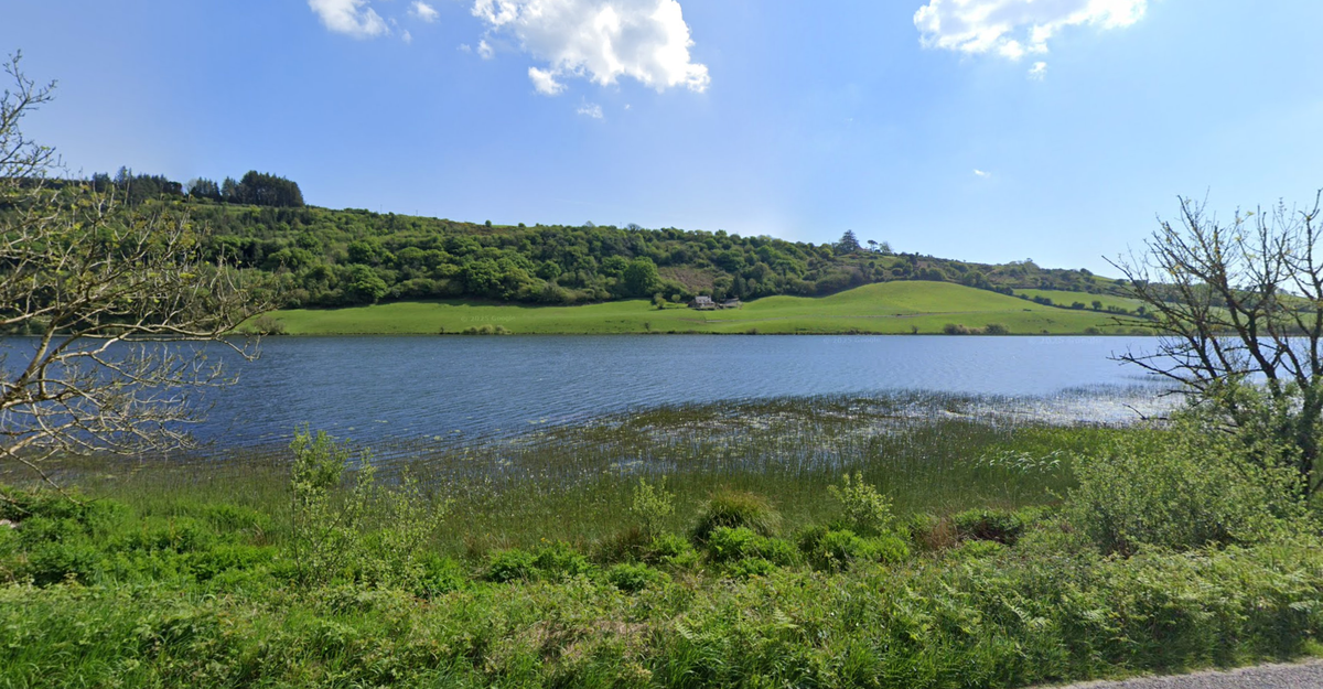 Curraghalicky Lake near Dunmanway