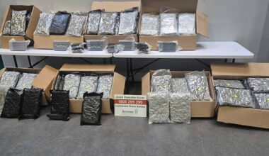 €1.95 million worth of drugs seized at Dublin Port