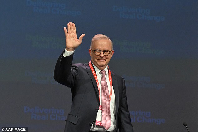 However, Mr Albanese indicated some fuel-related measures were in the pipeline.