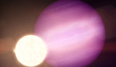 This artist's illustration shows the giant exoplanet WD 1856 b orbiting its much smaller white dwarf star. Somehow, this planet survived the star's transition from main sequence star, to red giant, to white dwarf. How did that happen? What does it mean for potential habitability on planets like this? Image Credit: NASA, ESA, CSA, Ralf Crawford (STScI)