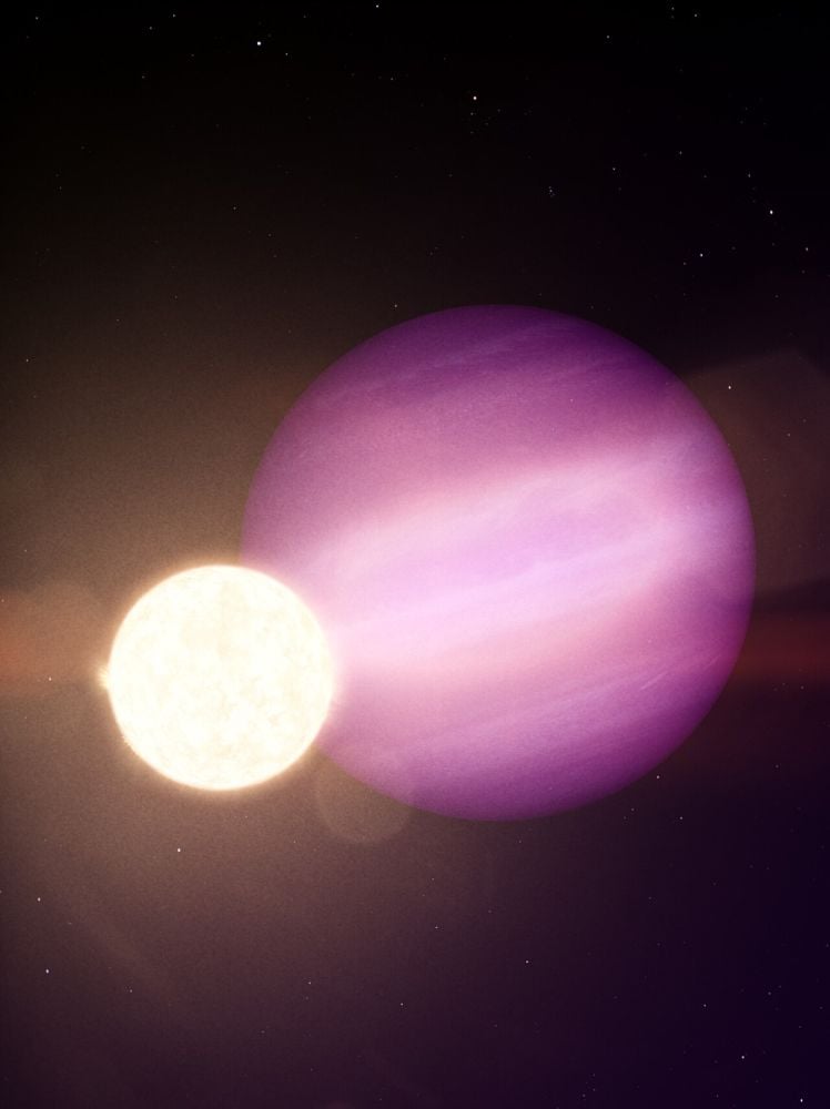 This artist's illustration shows the giant exoplanet WD 1856 b orbiting its much smaller white dwarf star. Somehow, this planet survived the star's transition from main sequence star, to red giant, to white dwarf. How did that happen? What does it mean for potential habitability on planets like this? Image Credit: NASA, ESA, CSA, Ralf Crawford (STScI)