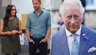 Prince Harry, Meghan Markle's reunion with King Charles 'wasn't entirely warm and fuzzy'