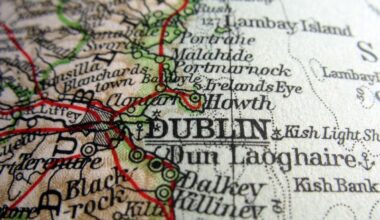 IAPF consults on launching Ireland-focused long-term fund | News