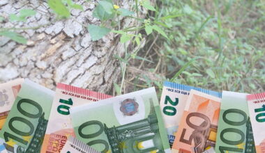 15 city and county projects allocated funding for National Biodiversity Week