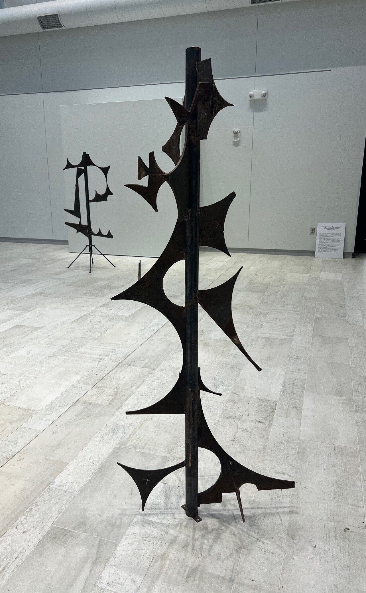 This was part of a bigger project including a windmill but when Schluckebier tore down the windmill, he decided to keep this piece and has titled it, "Manly Blossoming". Courtesy Photo