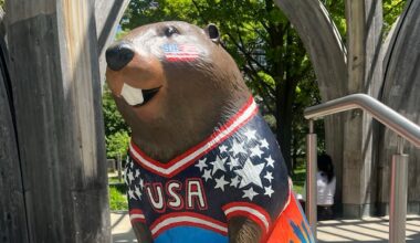 U.S.-inspired World Cup beaver statue in Toronto destroyed, police investigating