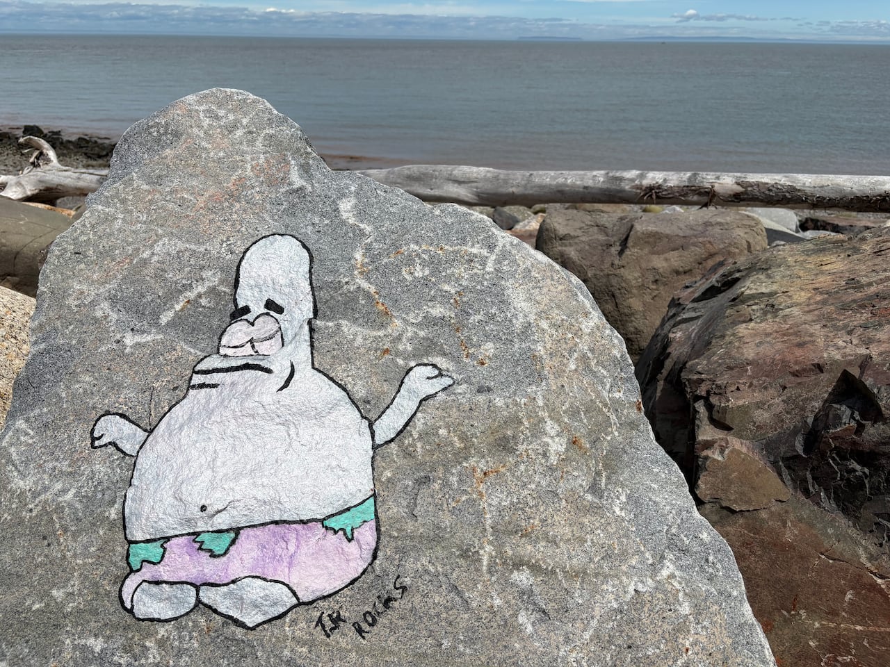 A cartoon character is painted on a rock. Water is visible in the background.
