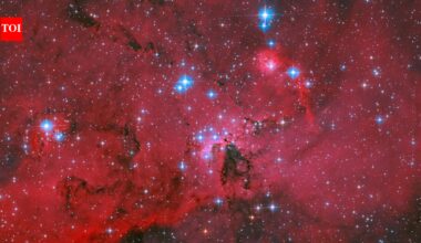 Nasa’s Hubble captures a spectacular red, white and blue stellar nursery where thousands of stars are being born |