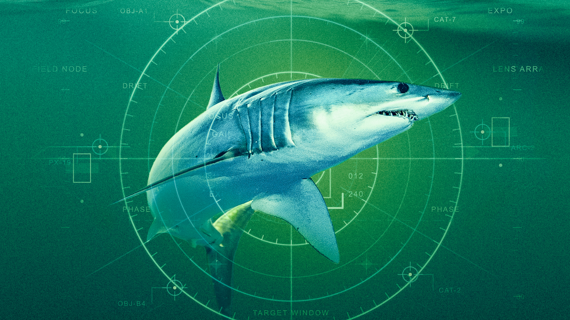 A mako shark swimming in green water, framed by a digital heads-up display overlay resembling a circular radar or targeting interface with technical data markings.