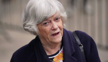 UK police arrest 28-year-old man on suspicion of the murder of Ann Widdecombe