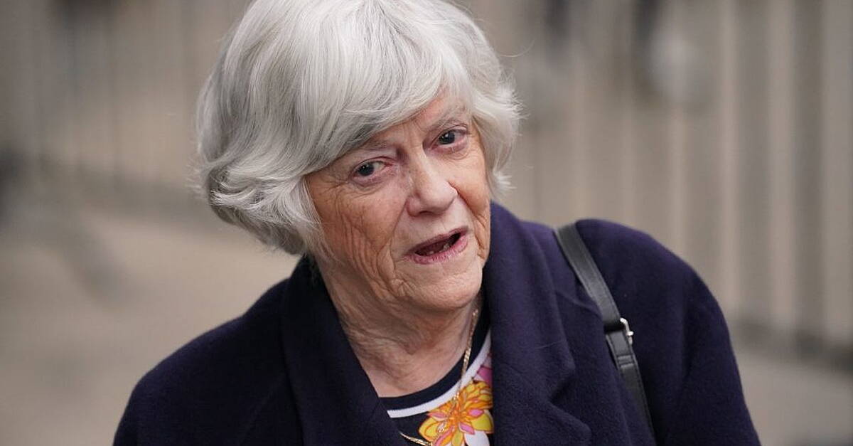 UK police arrest 28-year-old man on suspicion of the murder of Ann Widdecombe