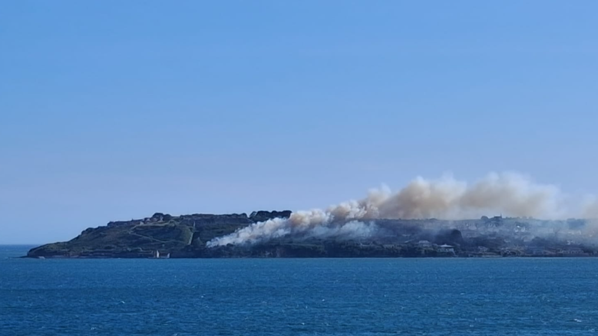 Cork Beo