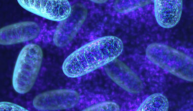 Frontiers in Science: Simple test could help track metabolic health in cancer and chronic disease