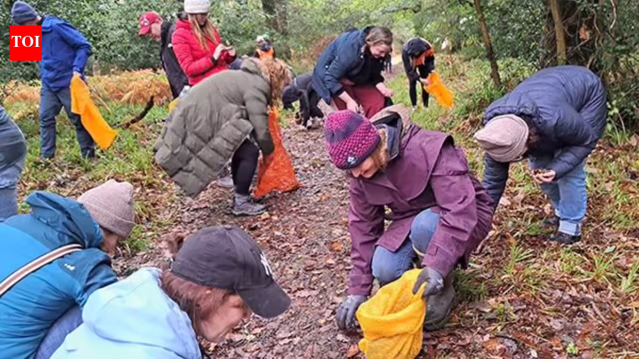 Around 100 volunteers collected 11 million seeds by hand across Scotland; nearly 8 million native trees are now being grown to rebuild its disappearing Atlantic rainforest |