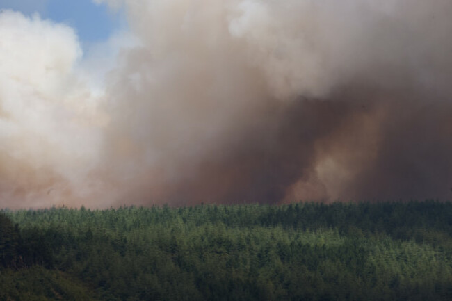 Wild fire-42_90752047