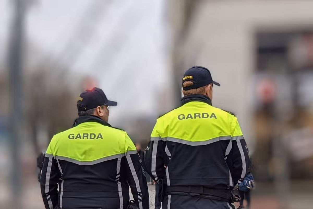 Garda (stock)