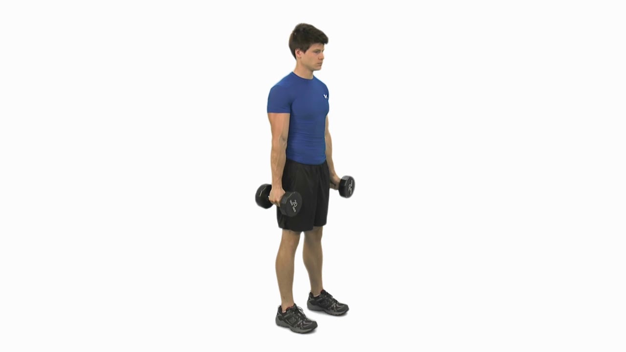 How to do a Dumbbell Hammer Curl - YouTube