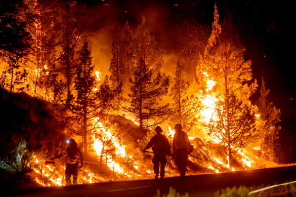 Firefighters burn off vegetation while trying to stop a wildfire called the Bench Fire from spreading in Warm Springs, Ore., on Saturday, July 25, 2026. (AP Photo/Noah Berger)
