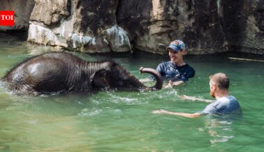 A baby elephant’s mother rejected her at birth. Her keeper refused to leave her side for nearly a month |