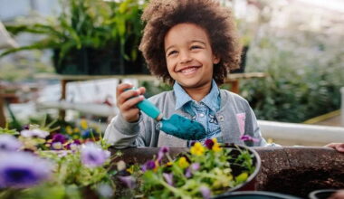 Plant Health starts with us: Simple actions that protect Ireland’s food, environment and future