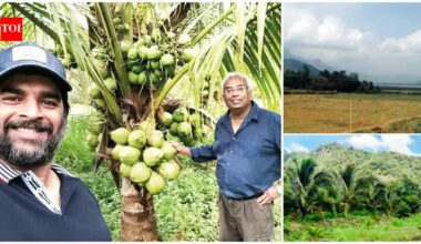 R Madhavan turns barren land into lush coconut farm in Tamil Nadu; 3-year eco-friendly project brings back biodiversity, actor plans expansion across India | Hindi Movie News