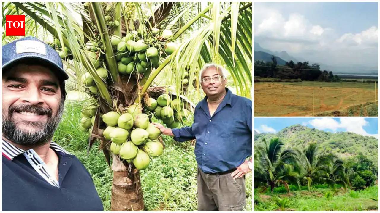 R Madhavan turns barren land into lush coconut farm in Tamil Nadu; 3-year eco-friendly project brings back biodiversity, actor plans expansion across India | Hindi Movie News