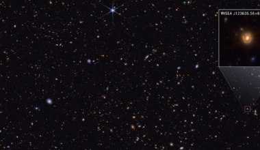 NASA Webb Explores Family Tree of Newly Discovered Distant Objects