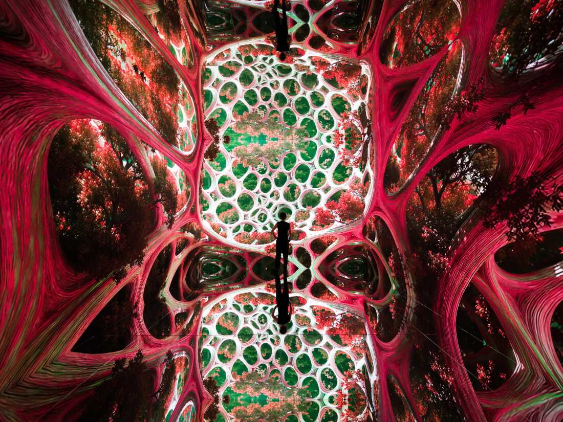 Artist Renderings of Machine Dreams: Rainforest, DATALAND, Los Angeles, Calif, June 20, 2026 – January 31, 2027.