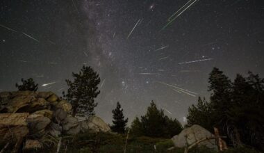 When To See Two Meteor Showers Peak This Week As Perseids Intensify