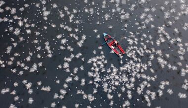 Our Gorgeous World From Above: 18 Winners Of International Aerial Photographer Of The Year