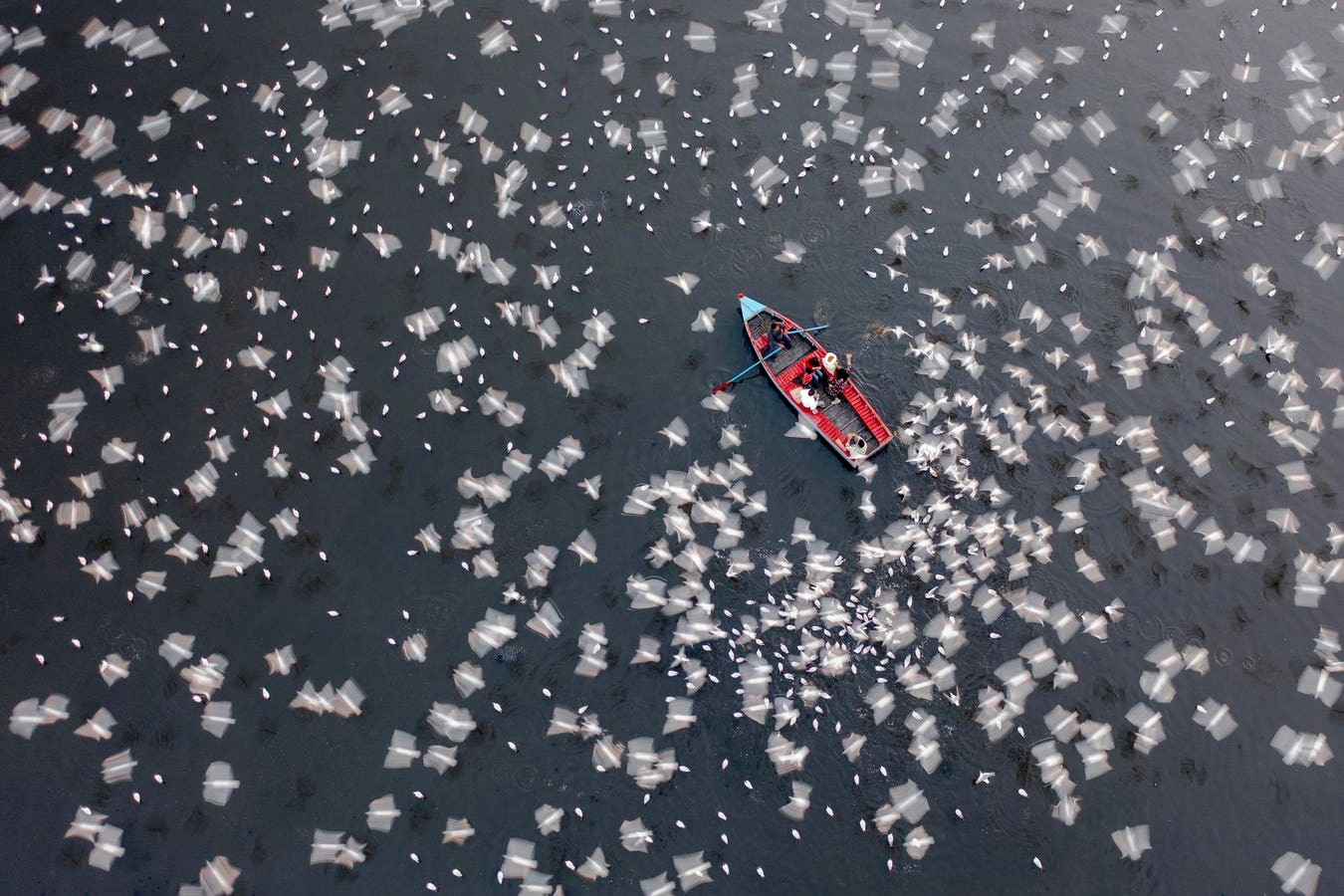 Our Gorgeous World From Above: 18 Winners Of International Aerial Photographer Of The Year